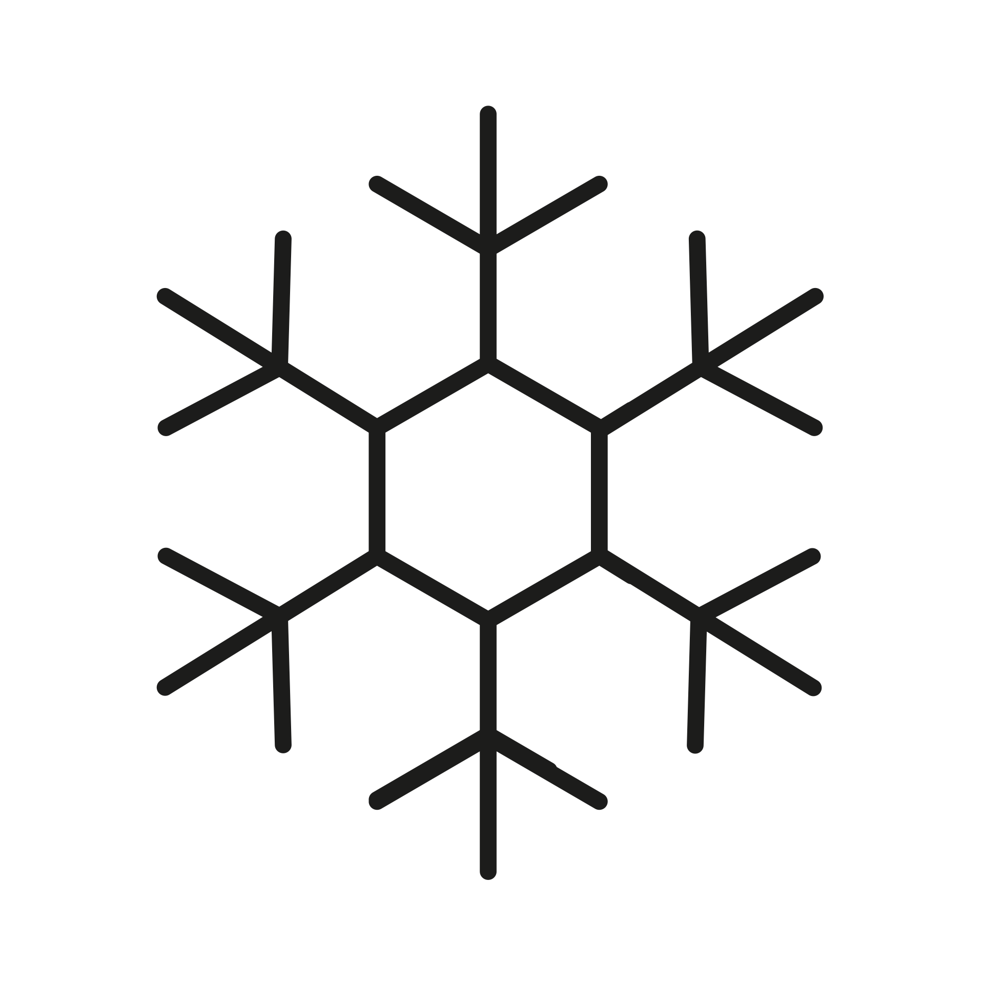 latest reefer containers 