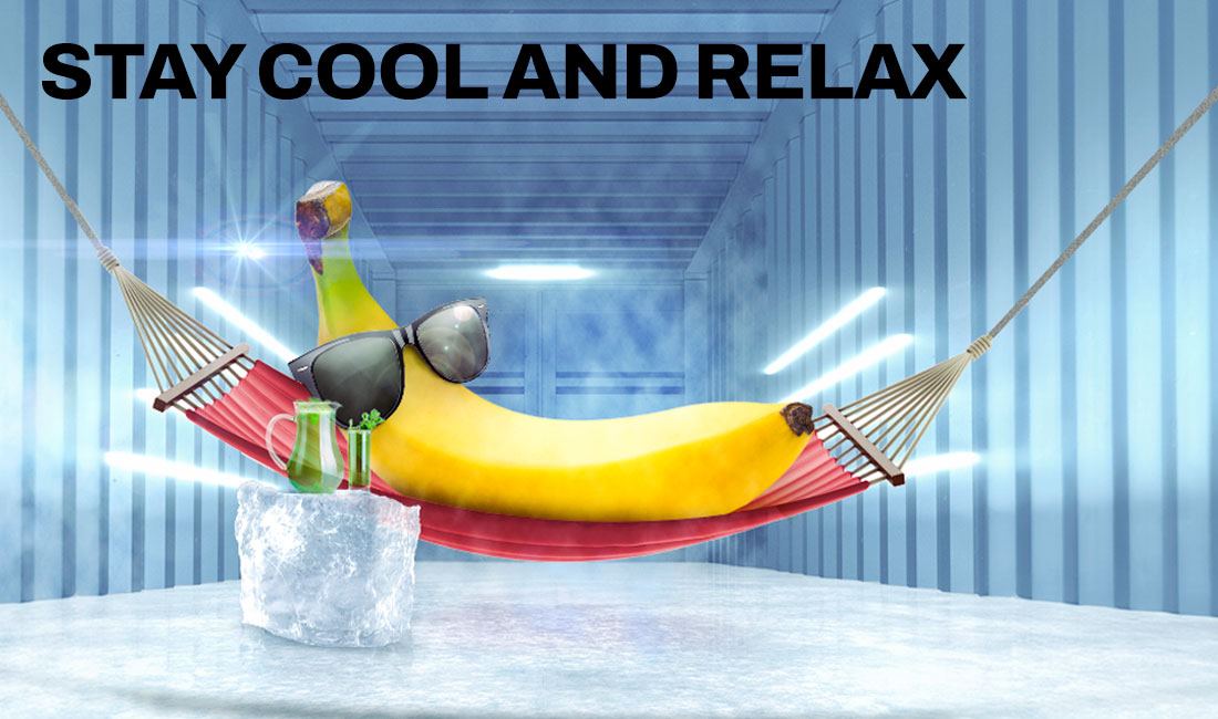 Banana chilling on a hammock with sunglasses inside a reefer container
