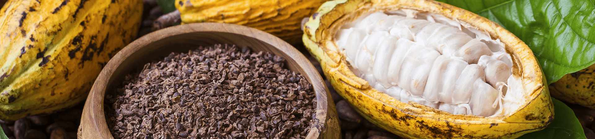 MSC is your Partner in Every Step of Cocoa's Journey